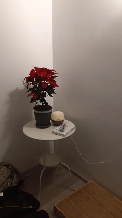 Triumph Studio Apartment Bucharest
